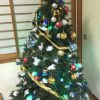 展覧会とクリスマスツリー