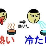 羹に懲りて膾を吹く