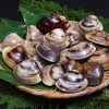 たまには食いしん坊から