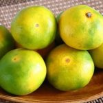 みかんが美味しいね！