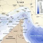 いらんことしたよね。